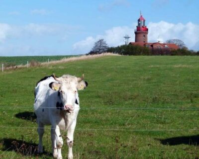 zuschauer-beim-malen-am-leuchtturm-von-bastorf-c-frank-koebsch