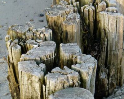 buhnen-am-kuehlungsborner-strand-c-frank-koebsch-2