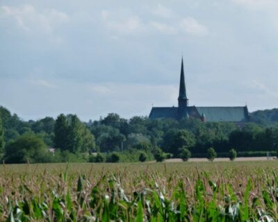 muensternlick-c-frank-koebsch