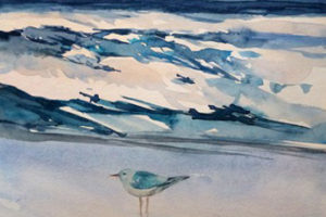 Möwe am Strand - Aquarell sonja Jannichsen