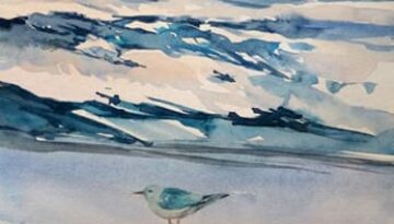Möwe am Strand - Aquarell sonja Jannichsen
