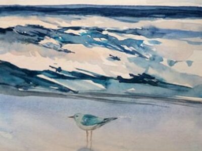 Möwe am Strand - Aquarell sonja Jannichsen