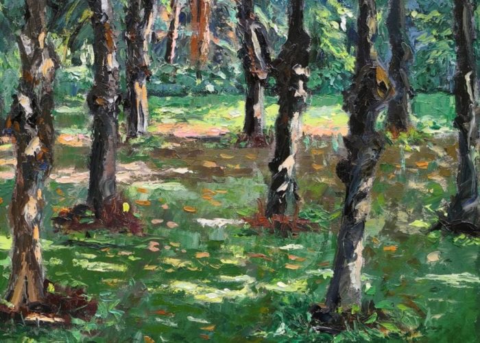 Thomas Freund Max Liebermann auf der Spur - Plein Air Malerei mit Licht uns Schatten