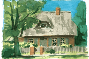 haubold-thomas_aq250819_baum-mit-bauernkate-Prerow-WEB